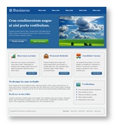 Website Template 18