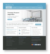 Website Template 21