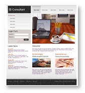 Website Template 23