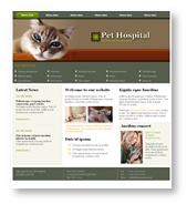Website Template 3