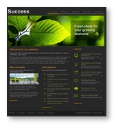 Website Template 5