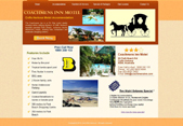 Website Example 16